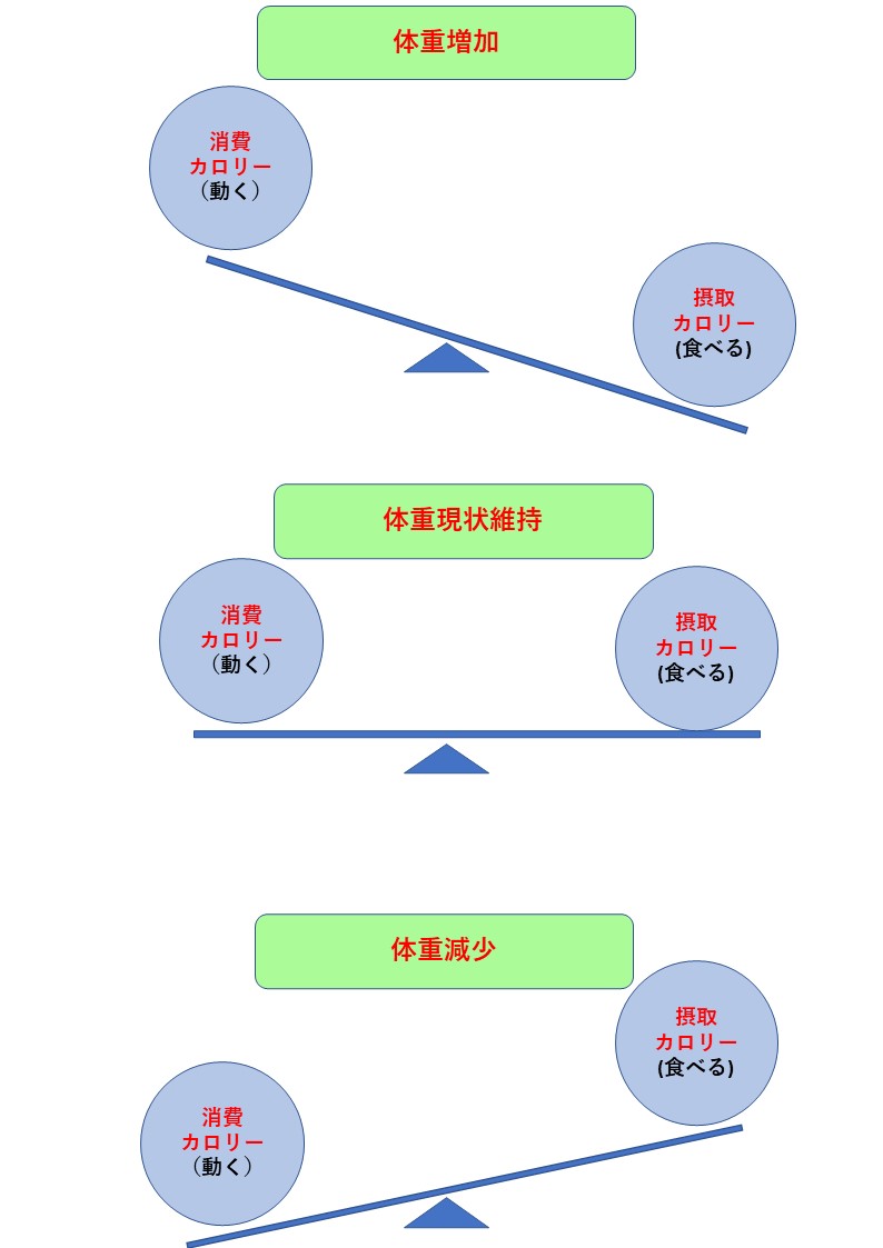 体重が重い 太ってる 間違ったダイエットをしないためのコツをお伝えします アクティブフィット24